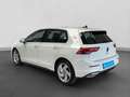 Volkswagen Golf GTE GTE NAVI LED+ SITZH PDC+ Weiß - thumbnail 15