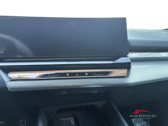 BMW 5 Series view 8