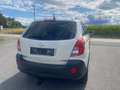 Opel Antara 2,2 CDTI Cosmo4x4 DPF NAVI NEUES PICKERL 3-2026 Weiß - thumbnail 6