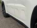 Fiat Grande Panda Hybrid mHEV 110 6-Gang eDCT Icon Weiß - thumbnail 18