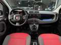 Fiat Panda Panda 1.2i Lounge Zwart - thumbnail 17