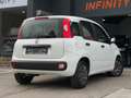 Fiat Panda Panda 1.2i Lounge Zwart - thumbnail 4