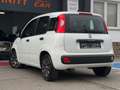 Fiat Panda Panda 1.2i Lounge Zwart - thumbnail 3