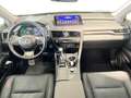 Lexus RX 450h Executive Argento - thumbnail 10