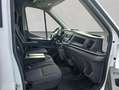 Ford Transit 350 L2H2 Lkw VA Trend**AHK/PDC** Blanc - thumbnail 15