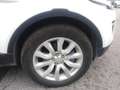 Land Rover Range Rover Evoque 2.0 TD4 150 CV 5p. HSE Dynamic Wit - thumbnail 5