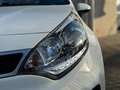 Kia Rio 1.2 CVVT ExecutiveLine CAMERA / STOELVERWARMING / Wit - thumbnail 5