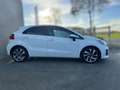 Kia Rio 1.2 CVVT ExecutiveLine CAMERA / STOELVERWARMING / Wit - thumbnail 7