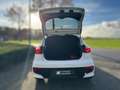 Kia Rio 1.2 CVVT ExecutiveLine CAMERA / STOELVERWARMING / Wit - thumbnail 34