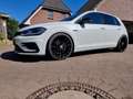 Volkswagen Golf R , neuer Motor, Golf VII R 2.0 TSI 4MOTION Weiß - thumbnail 1