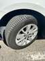 Volkswagen Golf Golf 1.0 TSI CR BMT Bluemotion 115 Bluemotion Blanco - thumbnail 4