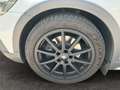 Volkswagen Passat Alltrack TDI SCR 4MOTION DSG Weiß - thumbnail 14