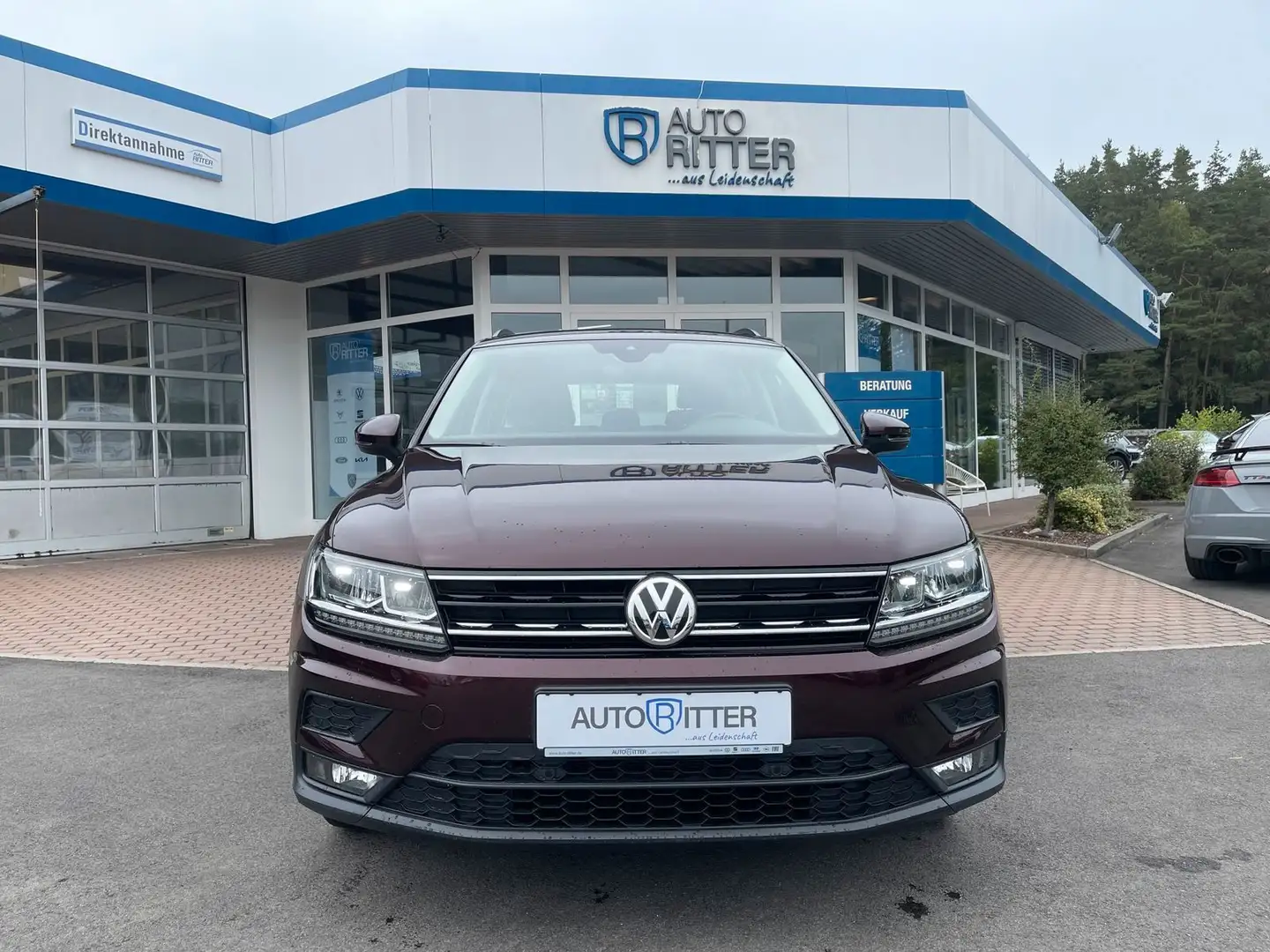 Volkswagen Tiguan 1.4 TSI Trendline SHZ+LED+Navi Rot - 2