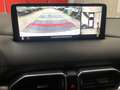 Mazda CX-5 2.2 Homura  2wd 150cv auto    * IVA DEDUCIBILE*** Bianco - thumbnail 16