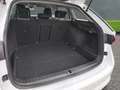 Skoda Octavia Combi Ambition 2.0 TDI+Alufelgen+Klimaautomatik+LE White - thumbnail 5