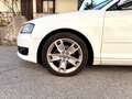 Audi A3 2008 Sportback 1.6 tdi Ambition UNICO PROPRIETARIO Weiß - thumbnail 7