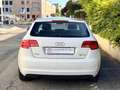 Audi A3 2008 Sportback 1.6 tdi Ambition UNICO PROPRIETARIO Weiß - thumbnail 6