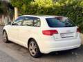 Audi A3 2008 Sportback 1.6 tdi Ambition UNICO PROPRIETARIO Weiß - thumbnail 5