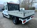 Renault Master DoKa Pritsche L2 3,5t KLIMA Weiß - thumbnail 5