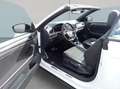 Volkswagen T-Roc Cabriolet 1.5 TSI ACT OPF DSG R-Line Weiß - thumbnail 9
