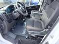 Fiat Ducato 35 2.2 MJT 140CV LH2 Furgone Passo Lungo NUOVO Bianco - thumbnail 5