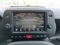 Fiat Panda CROSS 1.0 Hybrid 69cv CROSS AZIENDALE Grün - thumbnail 17