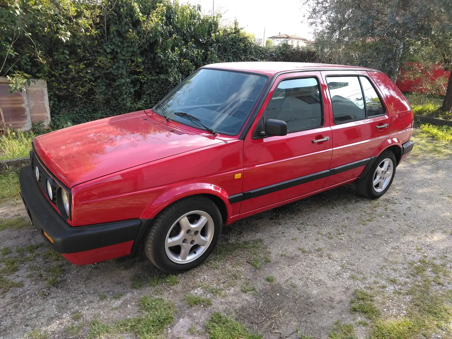 Volkswagen Golf Golf 5p 1.6 GL 5m my83 Rosso - 1