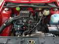 Volkswagen Golf Golf 5p 1.6 GL 5m my83 Rosso - thumbnail 9