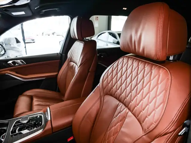 BMW X7 view 10