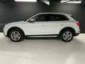 Audi Q5 35 TDI Design quattro-ultra S tronic 120kW Blanco - thumbnail 6