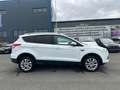Ford Kuga Titanium 2 Jahre TüV Blanc - thumbnail 6
