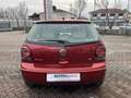 Volkswagen Polo 1.4 Comfortline 80cv 5p Rot - thumbnail 13