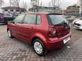Volkswagen Polo 1.4 Comfortline 80cv 5p Rot - thumbnail 5