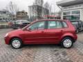Volkswagen Polo 1.4 Comfortline 80cv 5p Rot - thumbnail 14