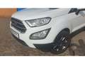 Ford EcoSport Cool&Connect 1.0 EB nur 24290 km Weiß - thumbnail 4