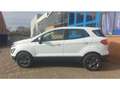 Ford EcoSport Cool&Connect 1.0 EB nur 24290 km Weiß - thumbnail 5