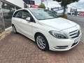 Mercedes-Benz B 180 B -Klasse B 180 Edition 1 Blanc - thumbnail 4