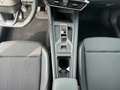 CUPRA Formentor 2.0 TDI DSG | AHK | NAVI | ACC | Grau - thumbnail 13
