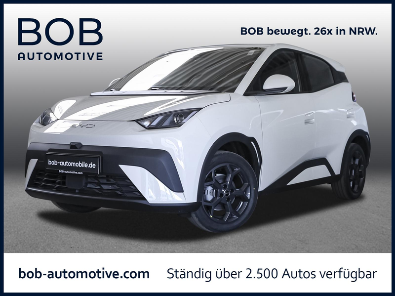 BYD Dolphin Surf Boost LEDER NAVI PDC KLIMA BT USB