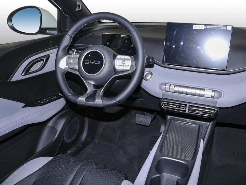 BYD Dolphin Surf Boost LEDER NAVI PDC KLIMA BT USB — photo 6