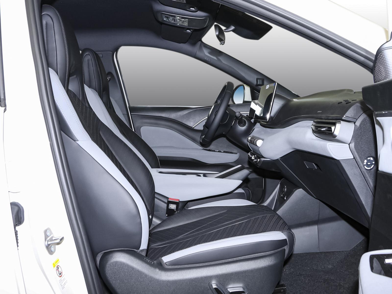 BYD Dolphin Surf Boost LEDER NAVI PDC KLIMA BT USB — photo 4