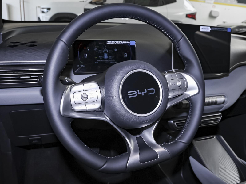 BYD Dolphin Surf Boost LEDER NAVI PDC KLIMA BT USB — photo 13