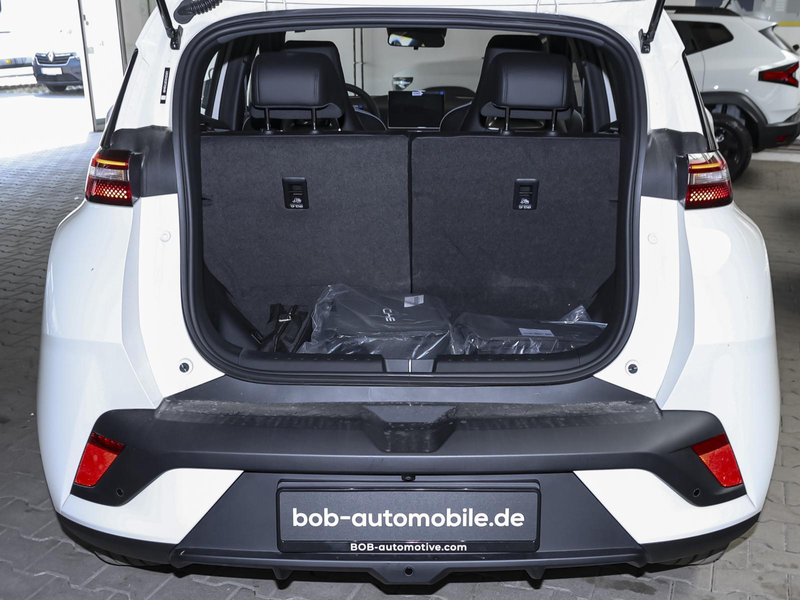 BYD Dolphin Surf Boost LEDER NAVI PDC KLIMA BT USB — photo 11