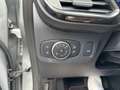 Ford Puma ST-Line Blanco - thumbnail 17