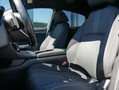Honda Civic Lim. 5-trg. 1.5 Sport Plus PANO ACC RFK Grau - thumbnail 13