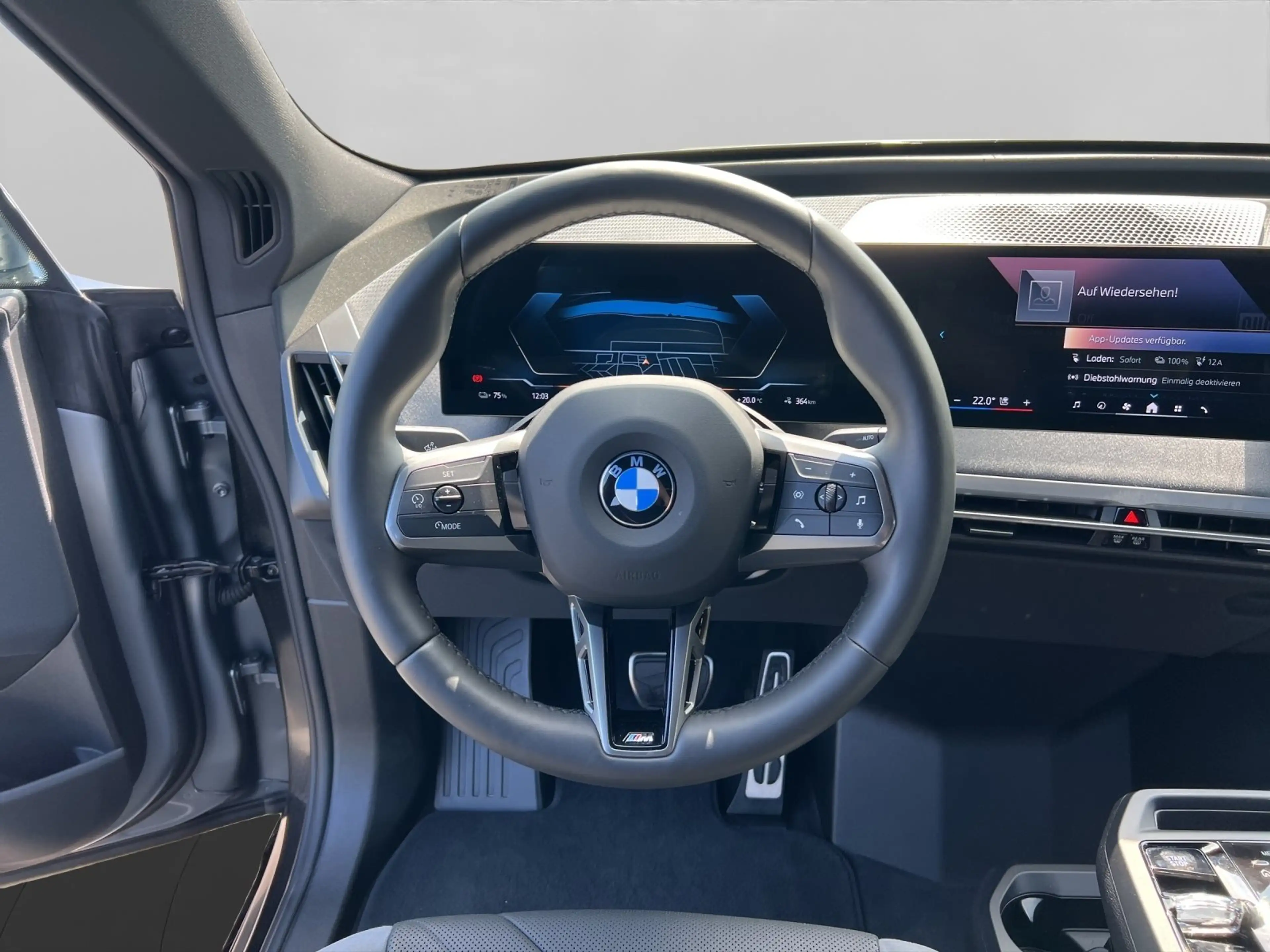 BMW iX xDrive60 — photo 10