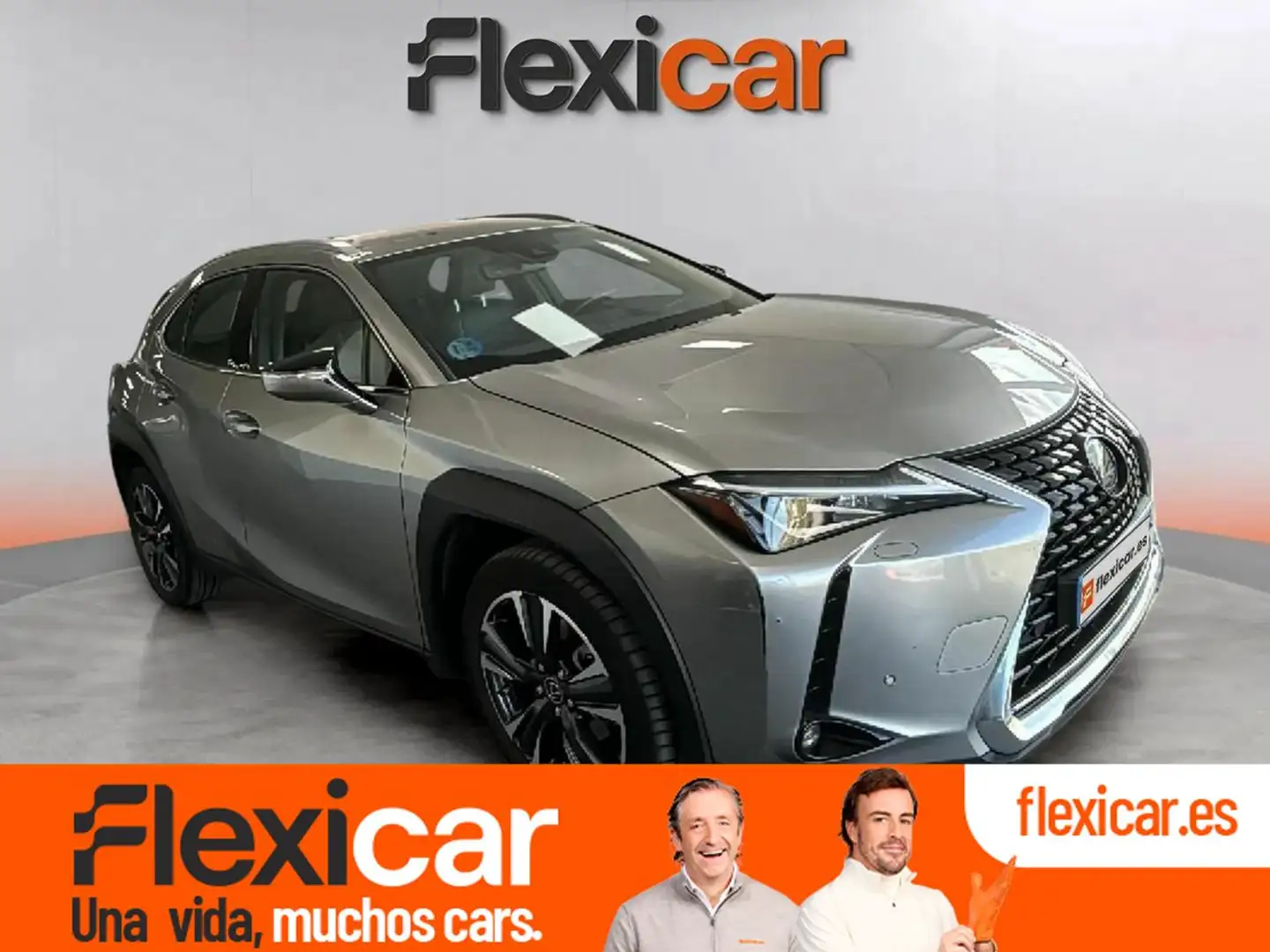 Lexus UX 250h 2.0 Business Gris - 1