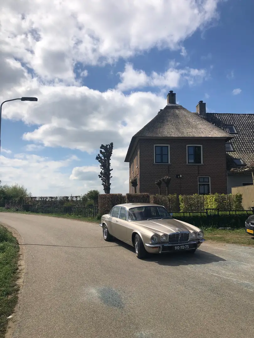 Jaguar XJ12 XJ12 undefined Gold - 2