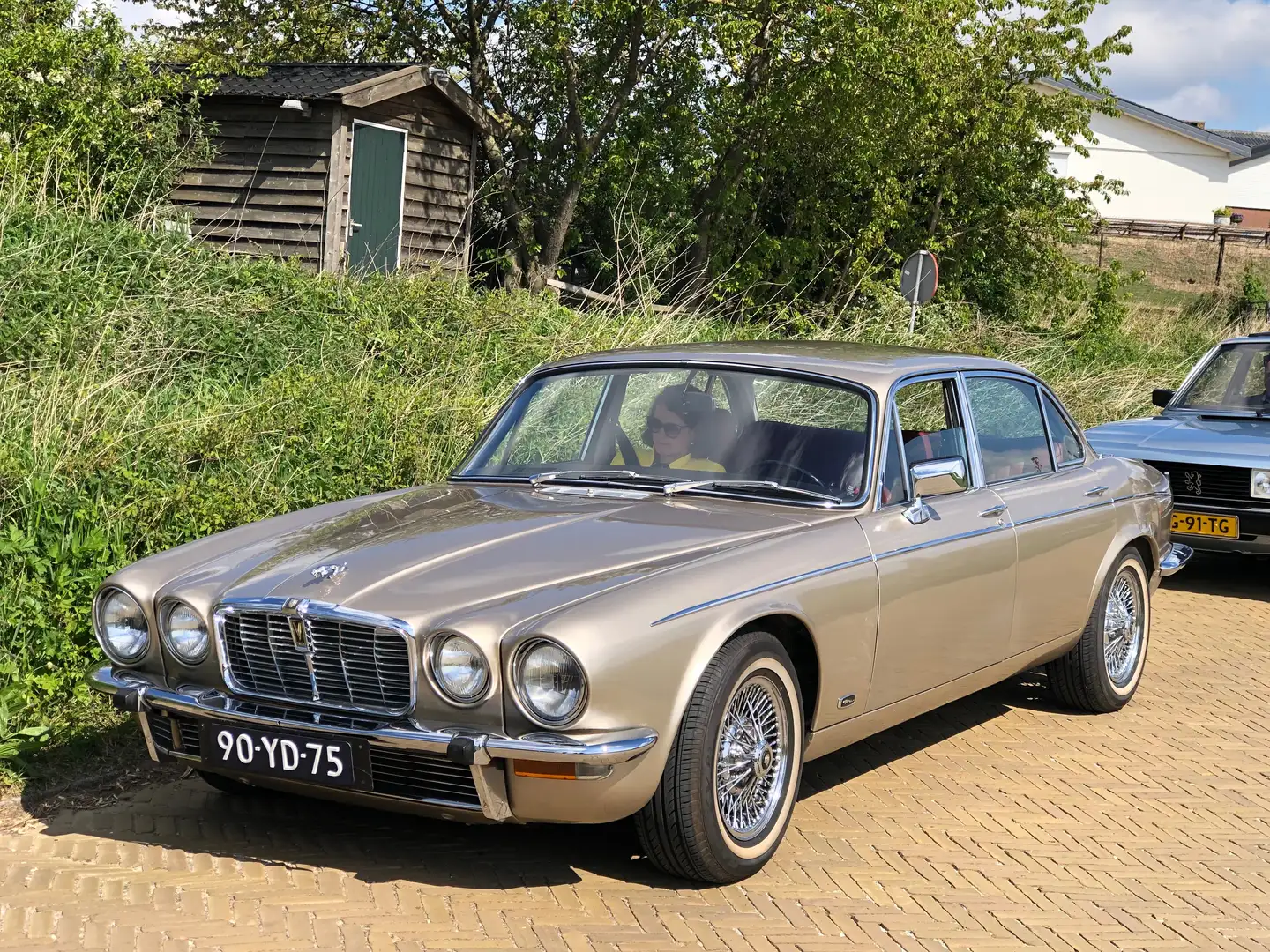 Jaguar XJ12 XJ12 undefined Gold - 1