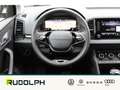 Skoda Karoq 2.0 TDI Tour Grau - thumbnail 19